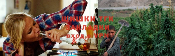 прущие грибы Богородск