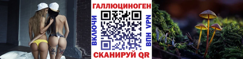 купить закладку  Десногорск  Псилоцибиновые грибы мицелий 